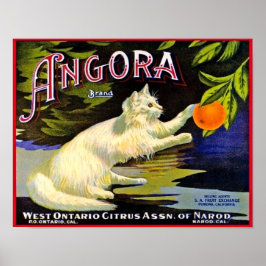 1940's Angora merk Citrus Label Met Kat Poster