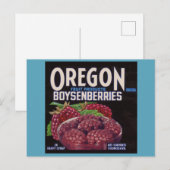 1940s Oregon Boysenbessen kan labelen Briefkaart (Voorkant / Achterkant)