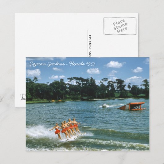1950's Cypress Gardens Water Ski Show Aqua Maids Briefkaart (Voorkant / Achterkant)
