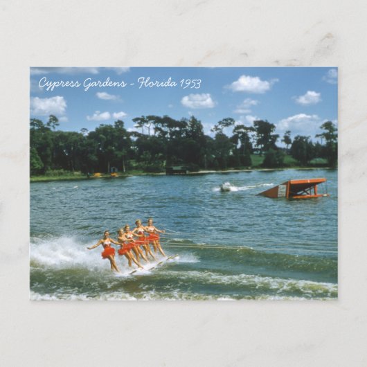 1950's Cypress Gardens Water Ski Show Aqua Maids Briefkaart (Voorkant)
