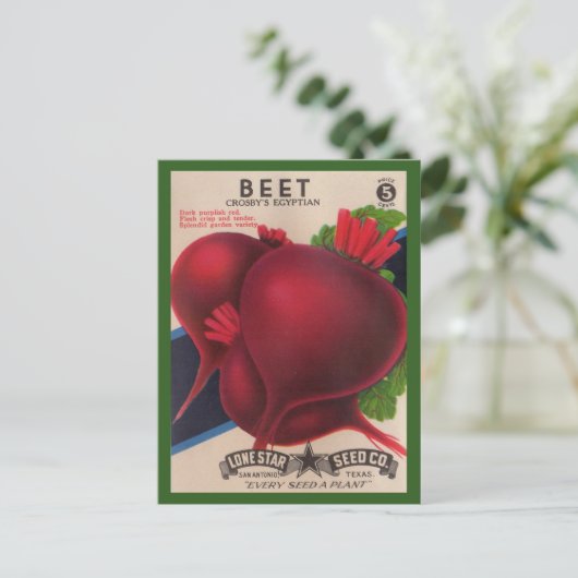 1950s het zaadpakket Beets Briefkaart (Staand voorkant)