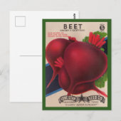 1950s het zaadpakket Beets Briefkaart (Voorkant / Achterkant)