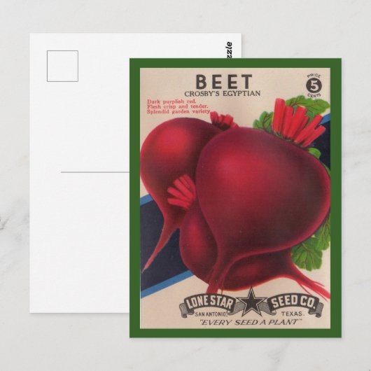 1950s het zaadpakket Beets Briefkaart (Voorkant / Achterkant)