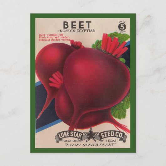1950s het zaadpakket Beets Briefkaart (Voorkant)