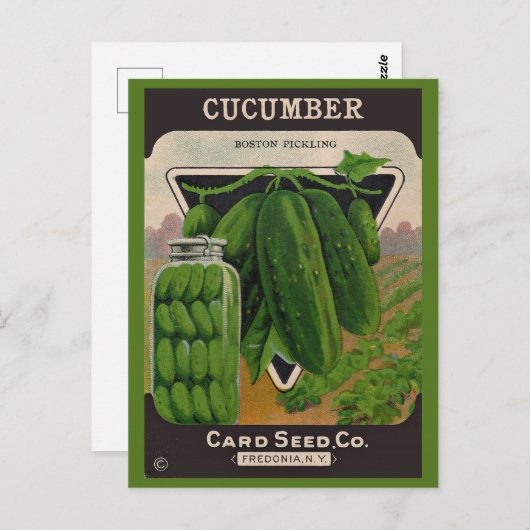 1950s komkommer zaden envelop cover briefkaart (Voorkant / Achterkant)
