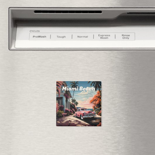 1950s Miami Beach tuin villa Magneet (Insitu (Vaatwasser))