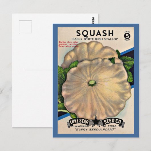 1950s zaadpakket witte squash briefkaart (Voorkant / Achterkant)