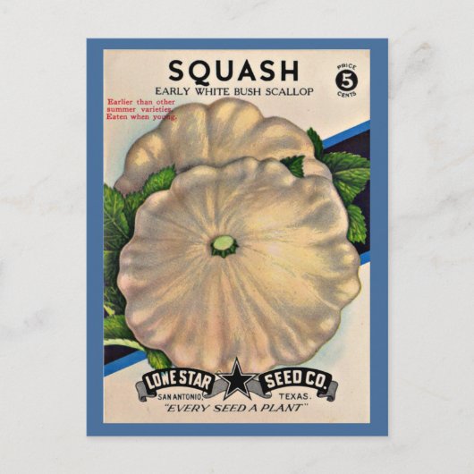 1950s zaadpakket witte squash briefkaart (Voorkant)