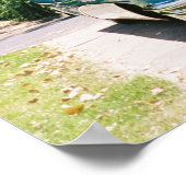 1955 Buick Poster (Hoek)