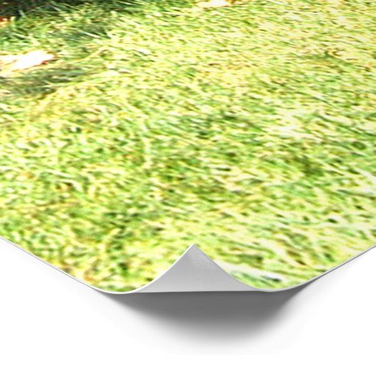 1955 Mercedes Benz 300SL Gullwing Poster (Hoek)