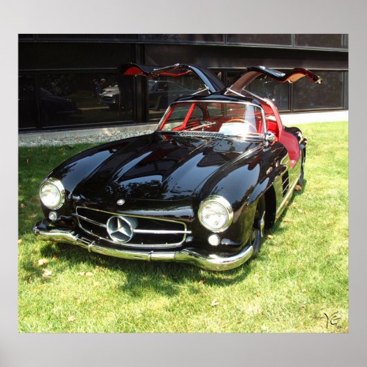 1955 Mercedes Benz 300SL Gullwing Poster (Voorkant)