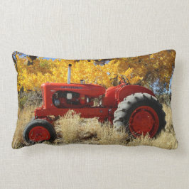 1955 WD45 Allis Chalmers Tracter Lumbar Pillow Kussen