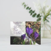 1956 Briefkaart voor het slachten van salade (Staand voorkant)