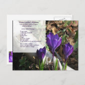 1956 Briefkaart voor het slachten van salade (Voorkant / Achterkant)