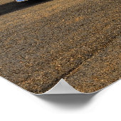 1956 chevy bel air street rod poster (Hoek)