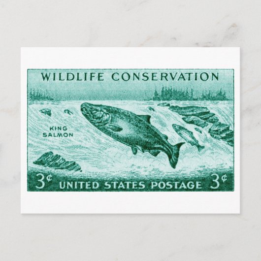 1956 Wildlife Conservation, Salmon Briefkaart (Voorkant)