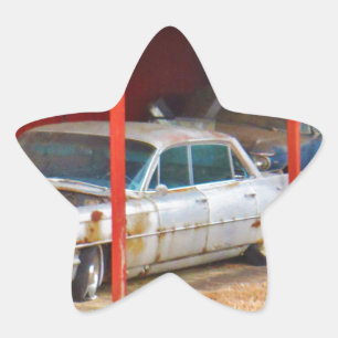 1963 Silver Sadan deville Ster Sticker