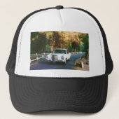 1965_220SEb_001 1965 Mercedes Benz 220SEb coupe Trucker Pet (Voorkant)