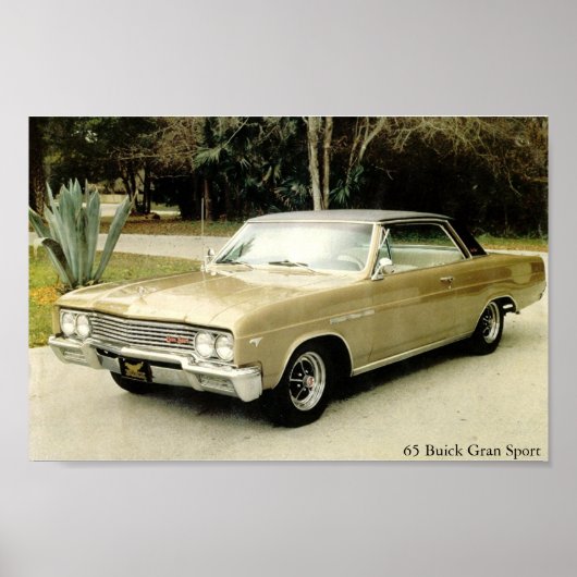 1965 Buick Skylark Gran Sport Poster (Voorkant)