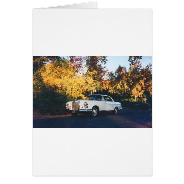 1965 Mercedes-Benz 220SEb coupe (Voorkant)