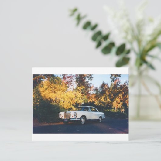 1965 Mercedes-Benz 220SEb coupe Briefkaart (Staand voorkant)