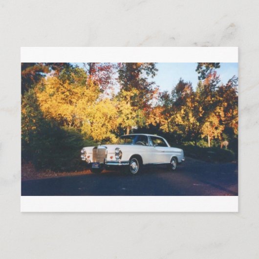 1965 Mercedes-Benz 220SEb coupe Briefkaart (Voorkant)