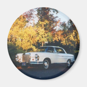 1965 Mercedes-Benz 220SEb coupe Magneet