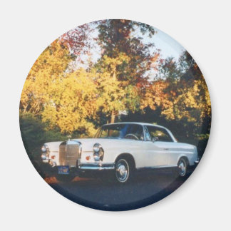 1965 Mercedes-Benz 220SEb coupe Magneet