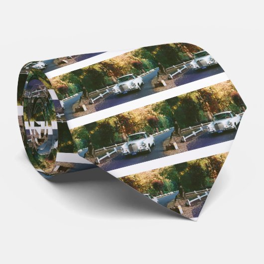 1965 Mercedes-Benz 220SEb coupe Stropdas (Opgerold)