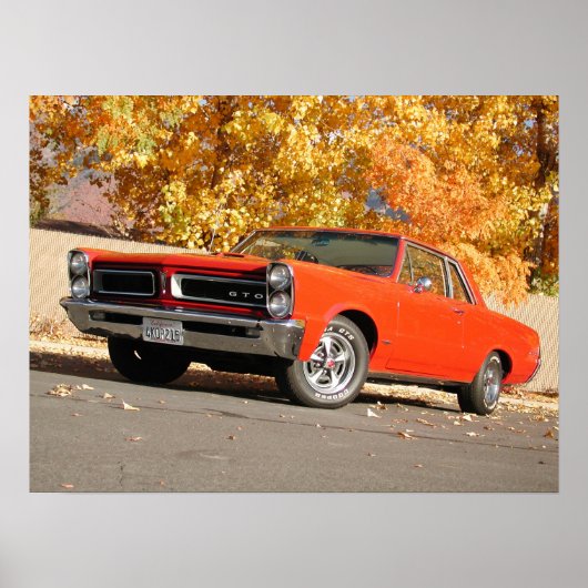 1965 Pontiac GTO Poster (Voorkant)