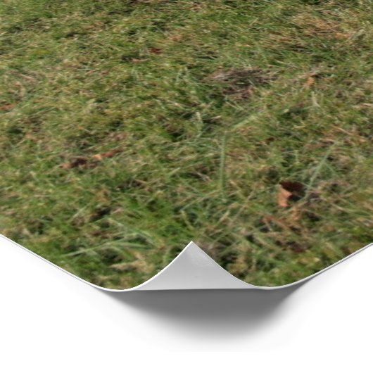 1966 Dodge Coronet Poster (Hoek)