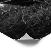 1966 Dodge-lader (B/W) Poster (Hoek)