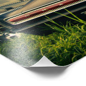 1966 Dodge-lader Foto Afdruk (Hoek)