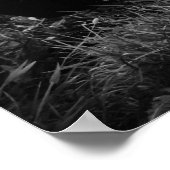 1966 Dodge-lader Poster (Hoek)