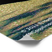 1967 CAMARO SS 396 POSTER (Hoek)