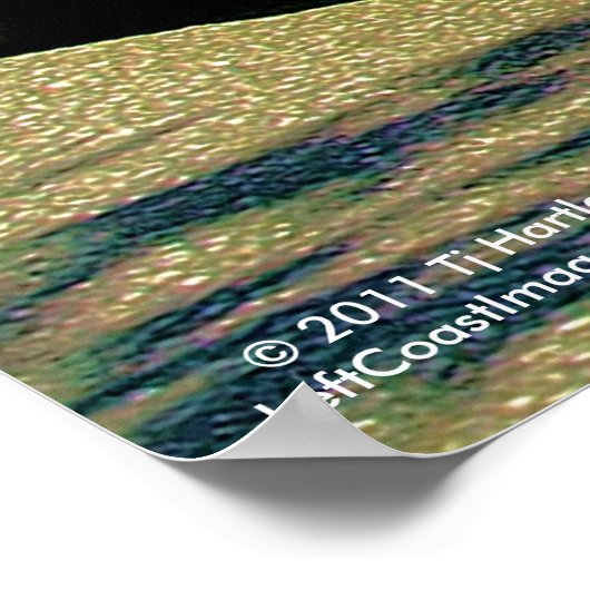 1967 CAMARO SS 396 POSTER (Hoek)