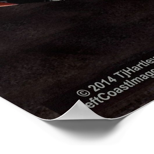 1968 CHEVELLE 427 POSTER (Hoek)