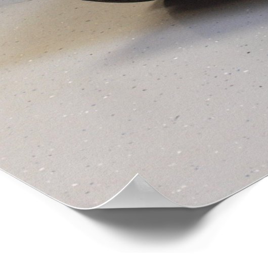 1968 Chevy Chevelle SS 396 Sport Coupe Poster (Hoek)