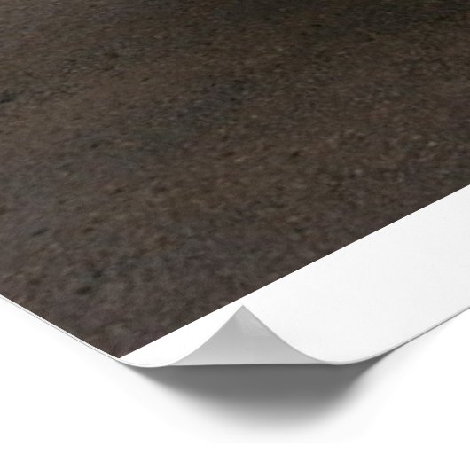 1968 Coronet R/T Poster (Hoek)