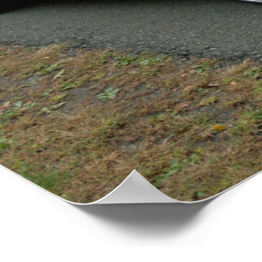 1968-sliplader 440-magnum poster (Hoek)