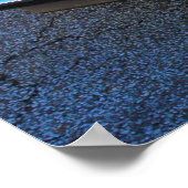 1969 Camaro SS Poster (Hoek)