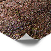 1969 Dodge Coronet R/T Poster (Hoek)