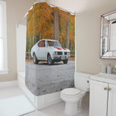 1969 Olds 442 Douchegordijn (In situ)