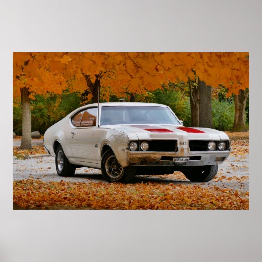 1969 Olds 442 Poster (Voorkant)