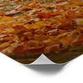 1969 Olds 442 Poster (Hoek)