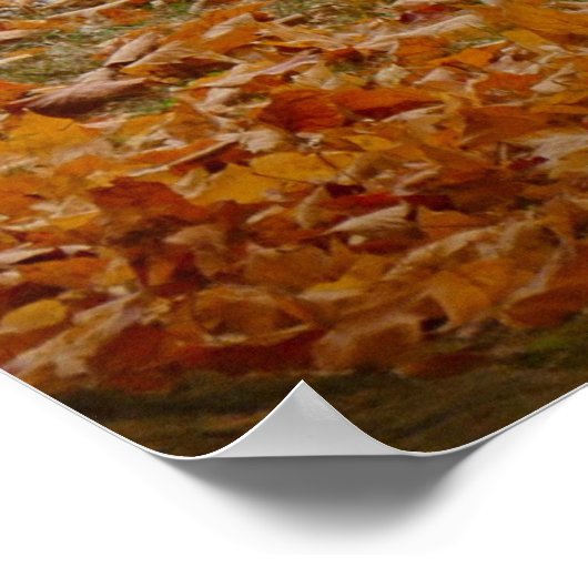 1969 Olds 442 Poster (Hoek)