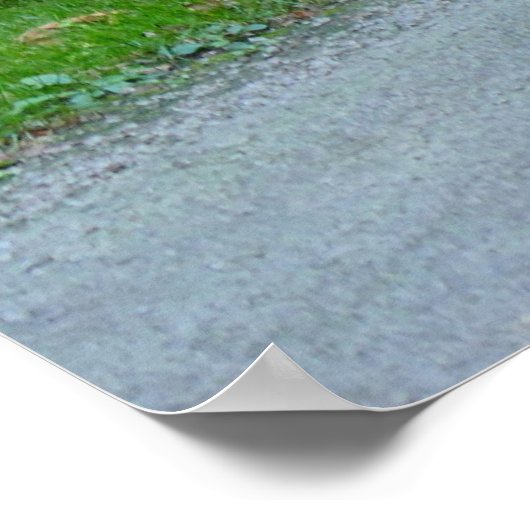 1969 Oldsmobile 442 Poster (Hoek)