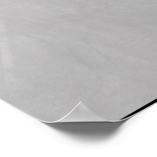 1969 Z28 Camaro Poster (Hoek)