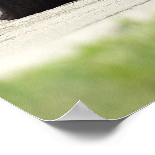 1969 Z28 POSTER (Hoek)