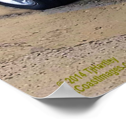 1970 CHEVELLE SS454 POSTER (Hoek)